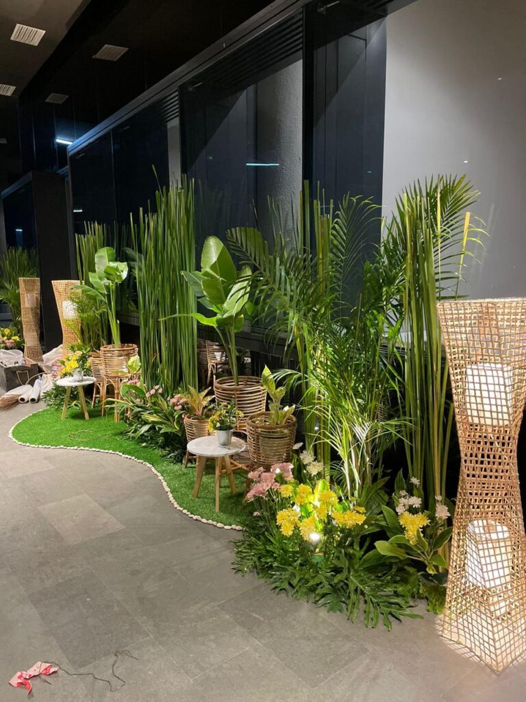Sewa Mini Garden Aesthetic