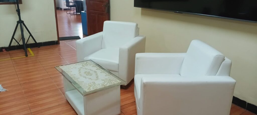 Sewa Sofa Single Seat Vip 