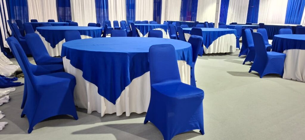 Sewa Kursi Futura Cover Biru